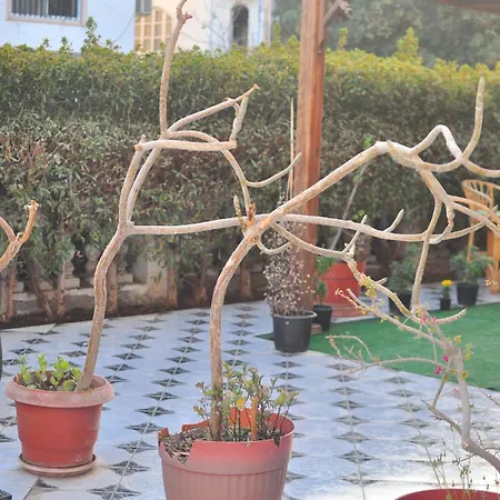 Backpackers Hostel